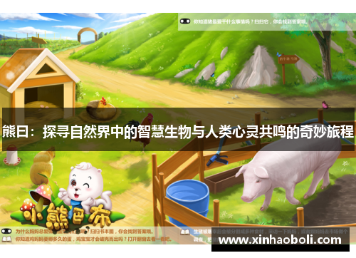 熊曰：探寻自然界中的智慧生物与人类心灵共鸣的奇妙旅程